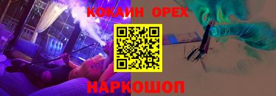 крисы Кулебаки