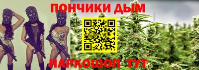 крисы Кулебаки