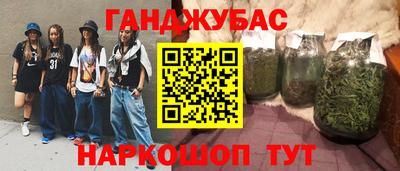 крисы Кулебаки