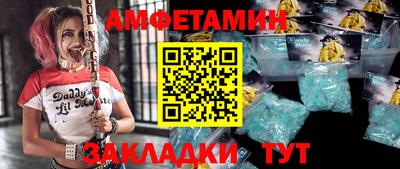 крисы Кулебаки